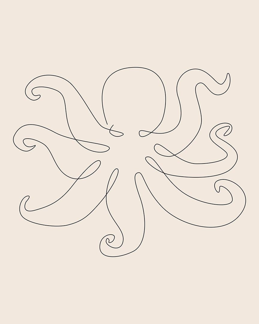 Octopus