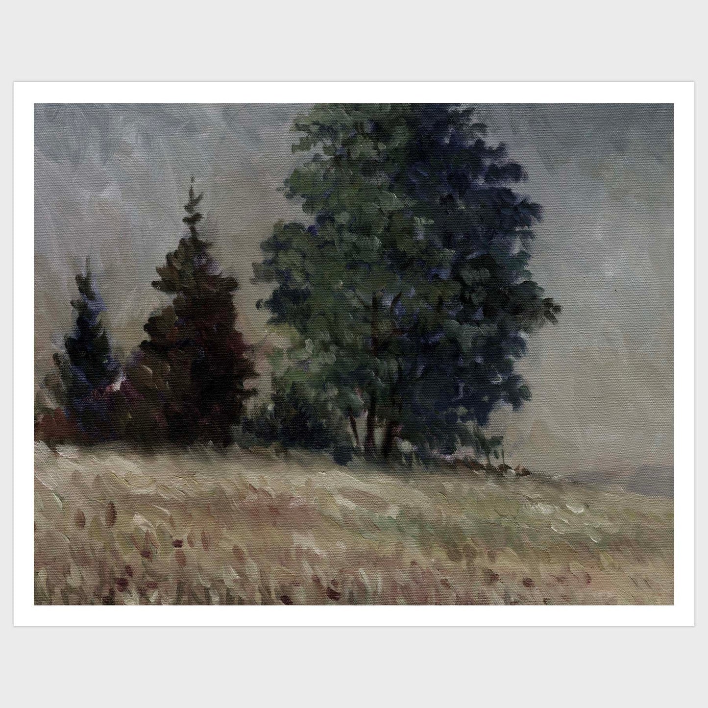 Trees on a Field