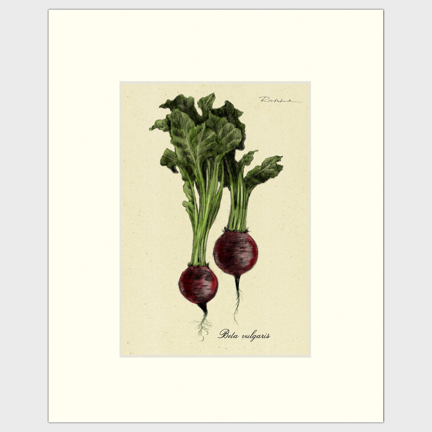 Beets