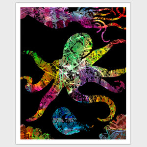 Open image in slideshow, Octopus
