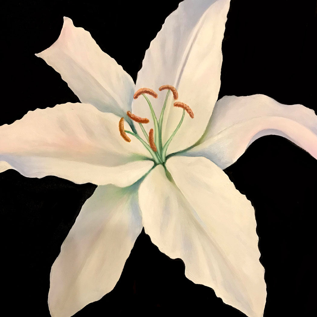 White Lily